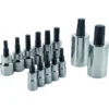 CRAFTSMAN Driver Sockets & Sets 13-Piece 1/4-in; 3/8-in Drive Set Torx Bit Torx Driver Socket Set