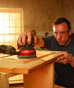 CRAFTSMAN Power Sanders V20 20-Volt Cordless Random Orbital Sander with Dust Management -Craftsman Store 18186554