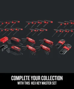 CRAFTSMAN Hex Keys & Torx Keys 100-key Standard (Sae) and Metric Combination Hex Key Set -Craftsman Store 44102399